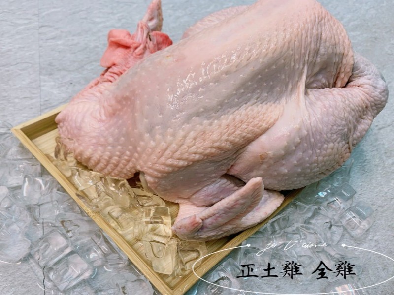 台東土雞(公雞)